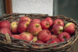 DSC_0878.jpg