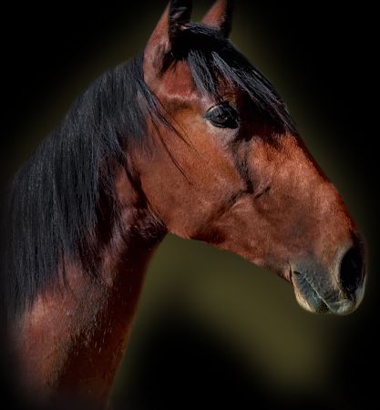 Sirius