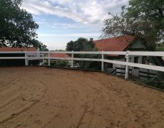 IMG-20220527-WA0001.jpg