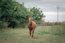 DSC_0797.jpg