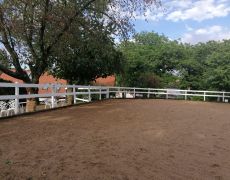 IMG-20220527-WA0007.jpg