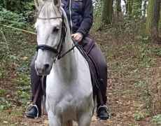 Soukromá jízdárna Tlustovousy