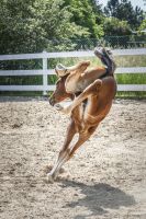 DSC_0849.jpg