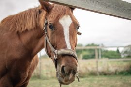 DSC_0753.jpg